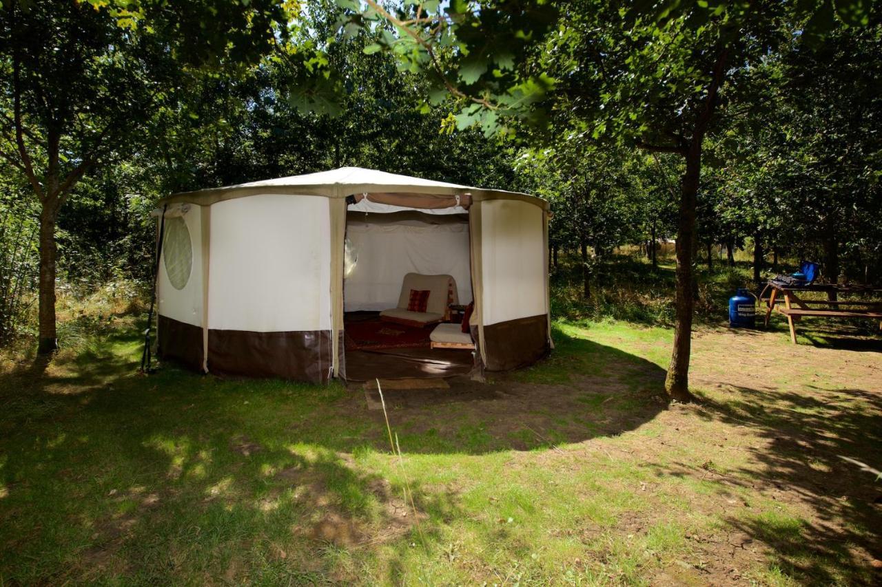Отель Dgg Woodland Escape South Barrow Экстерьер фото