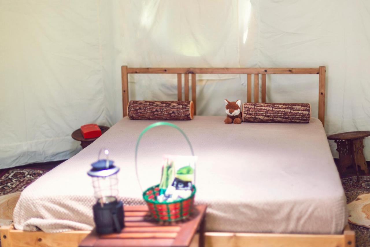 Отель Dgg Woodland Escape South Barrow Экстерьер фото