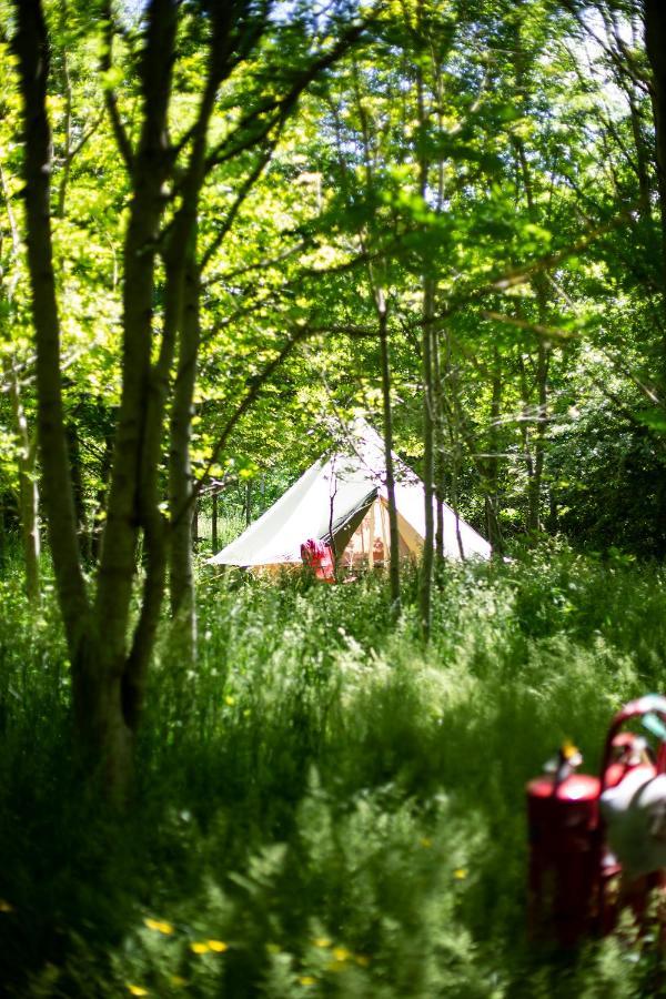 Отель Dgg Woodland Escape South Barrow Экстерьер фото