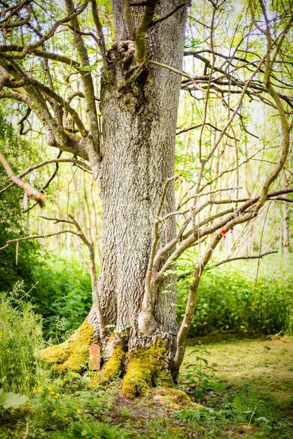 Отель Dgg Woodland Escape South Barrow Экстерьер фото