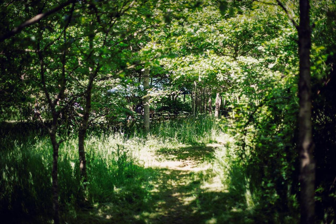 Отель Dgg Woodland Escape South Barrow Экстерьер фото