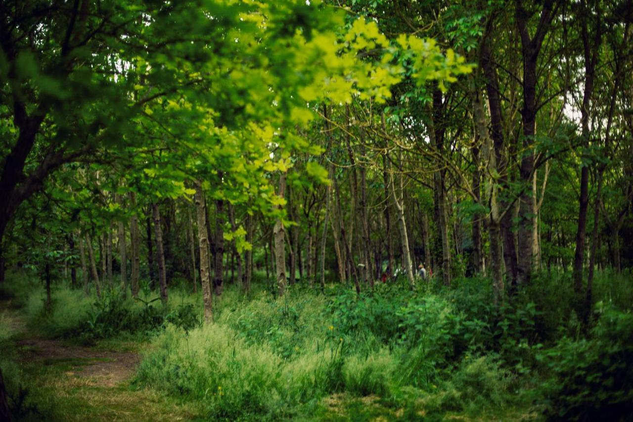 Отель Dgg Woodland Escape South Barrow Экстерьер фото