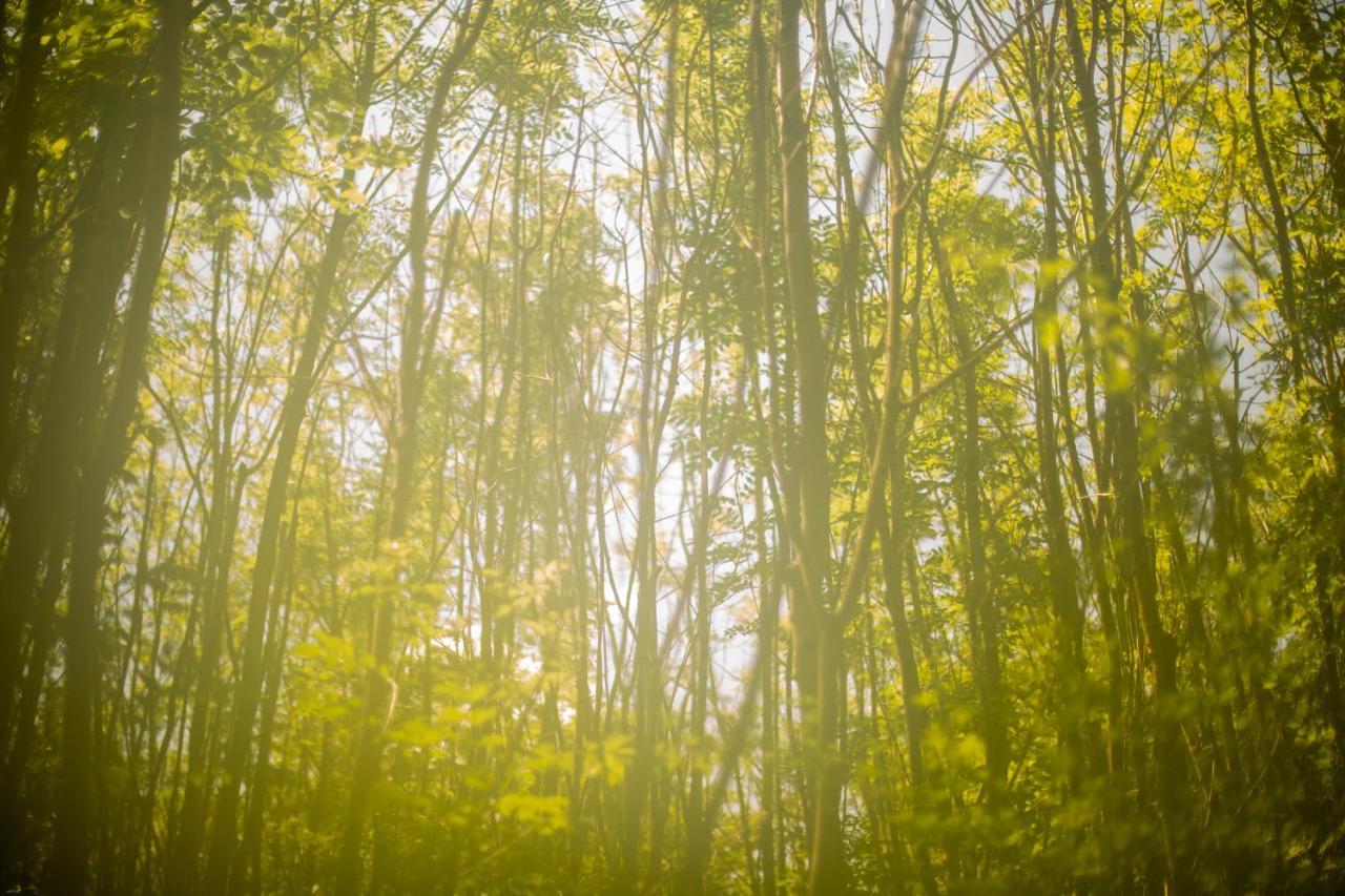 Отель Dgg Woodland Escape South Barrow Экстерьер фото