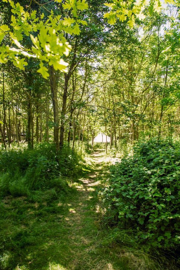 Отель Dgg Woodland Escape South Barrow Экстерьер фото